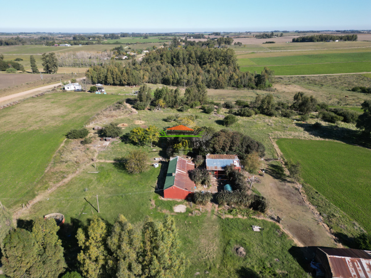 Chacra ID.385/Chacra-de-5-hect - Chacra de 5 hectáreas con casa y excelente ubicación cerca de Santa Regina
