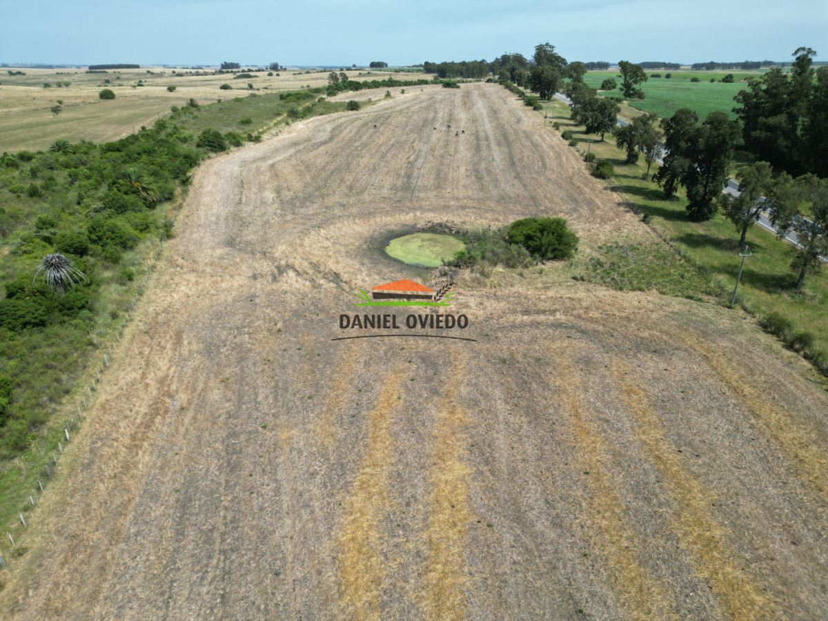 Chacra ID.337/Chacra-de-8-h - Chacra de 8 hás sobre Ruta 23 - San José