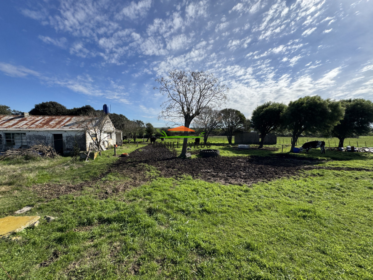 Chacra ID.403/Chacra-de-5,2-hect - Chacra de 5,2 hectáreas en venta próxima a Rosario - Colonia
