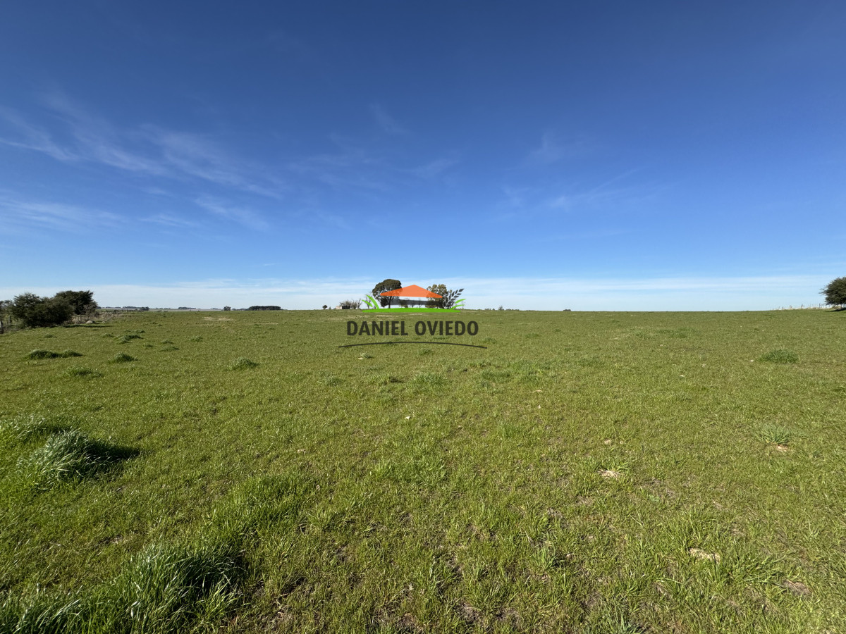 Chacra ID.251/Oportunidad-Chacra-30-Has-en-Soriano-con-Casa,-Galpón-y-Mejoras - Oportunidad Chacra 30 Has en Soriano con Casa, Galpón y Mejoras