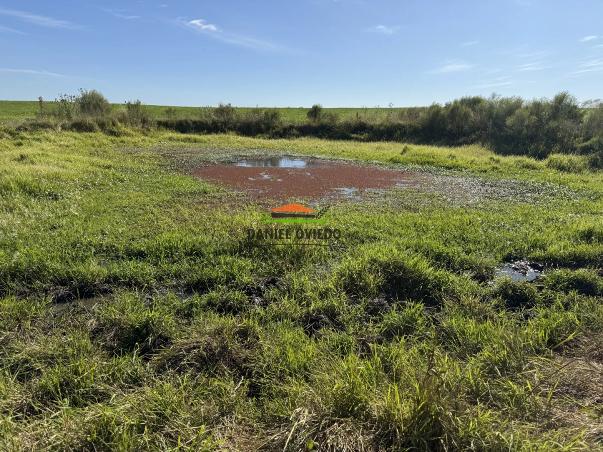 Chacra ID.344/Chacra-de-5,5-hect - Chacra de 5,5 hectáreas con agua en Cufré - Departamento de Colonia