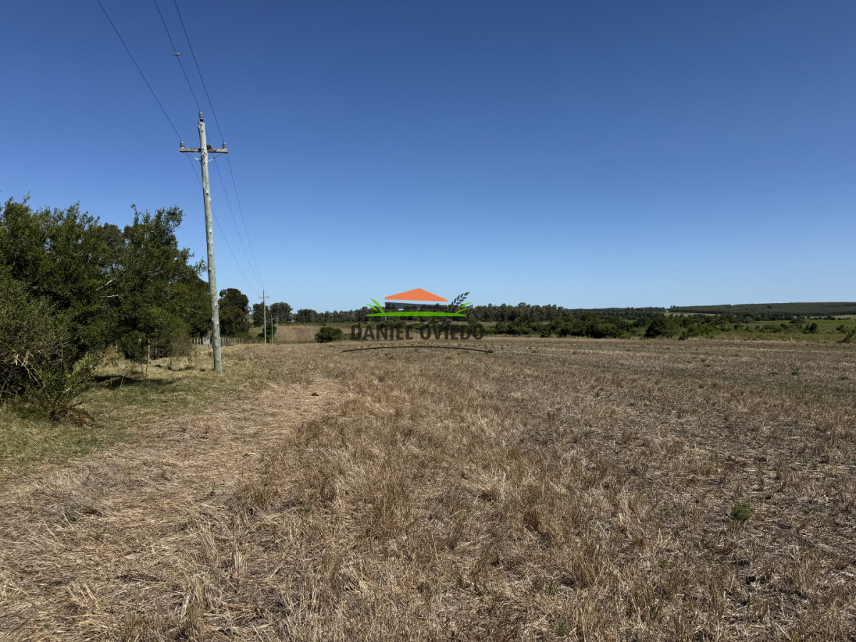 Chacra ID.337/Chacra-de-8-h - Chacra de 8 hás sobre Ruta 23 - San José