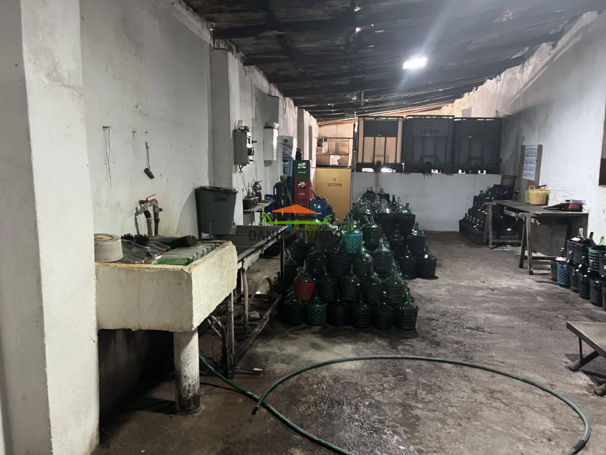 Chacra ID.425/Venta--de-Bodega,-Vi - Venta  de Bodega, Viñedo 11 Has y casas, en Toledo Chico.