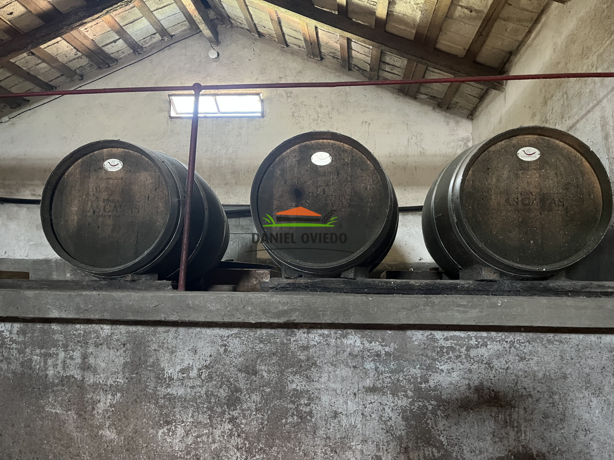 Chacra ID.255/Excelente-oportunidad-antigua-Bodega-y-viñedos-en-venta-en-Carmelo. - Excelente oportunidad antigua Bodega y viñedos en venta en Carmelo.