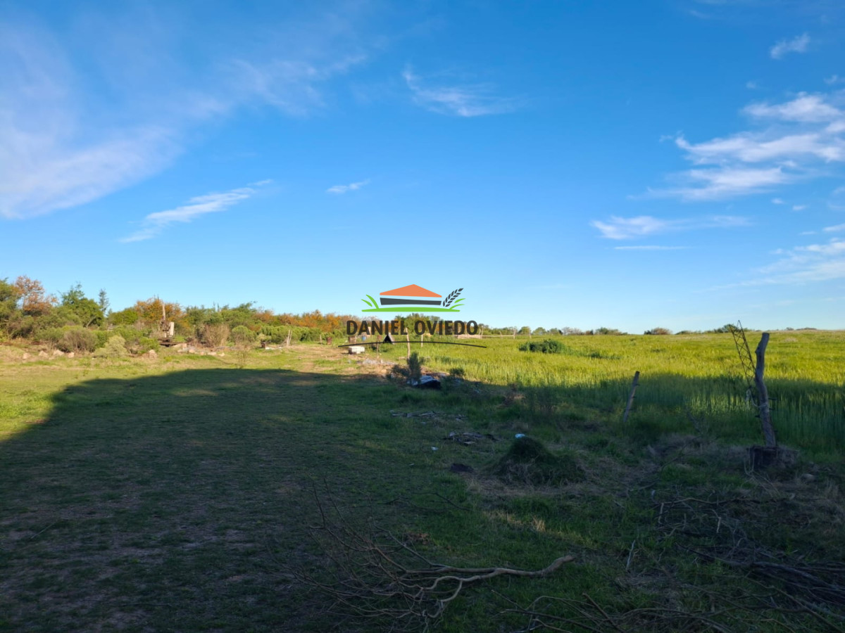 Chacra ID.423/🌿- - 🌿 ¡TU REFUGIO DE TRANQUILIDAD EN CARMELO! 🏡✨