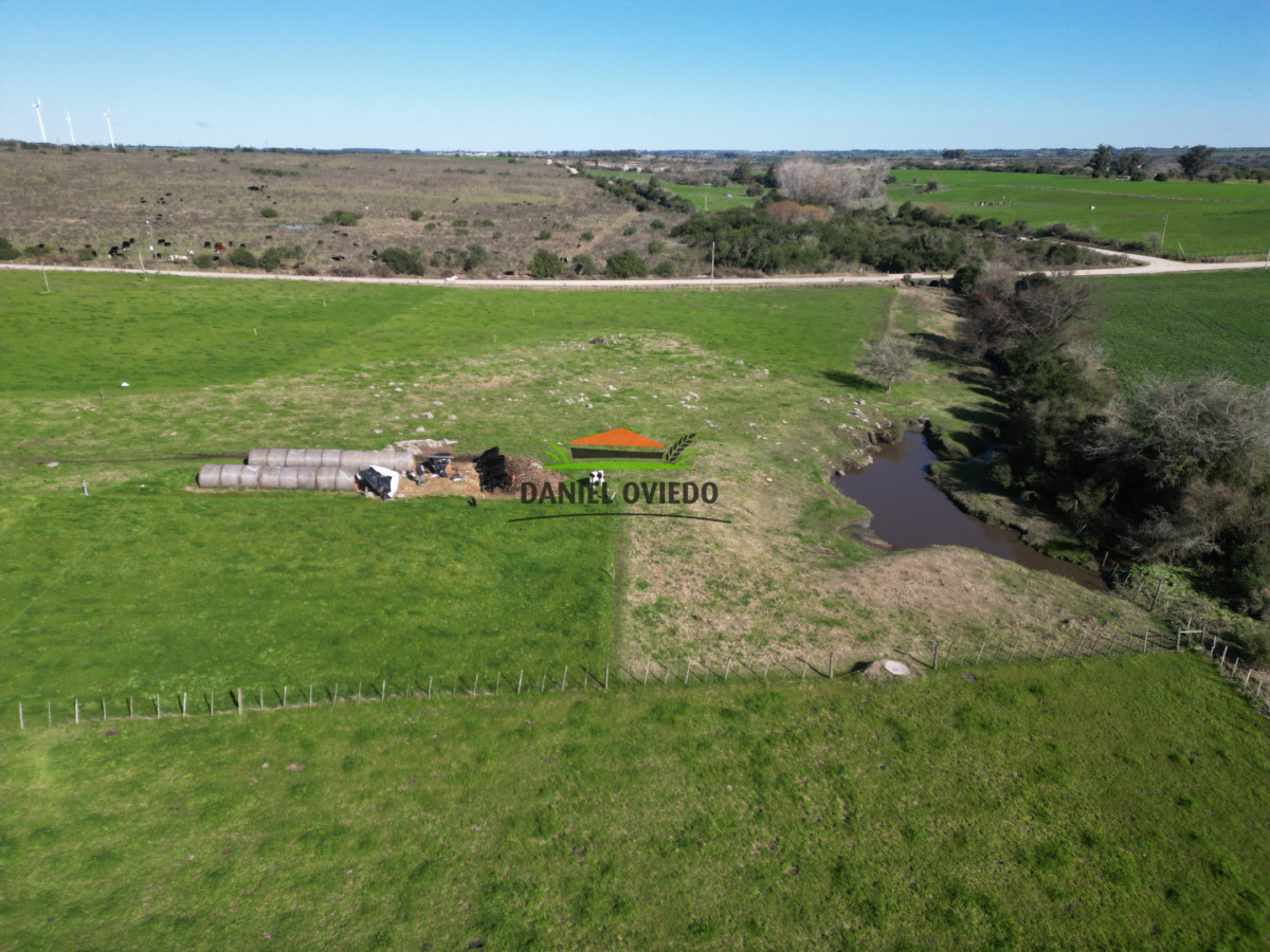 Chacra ID.403/Chacra-de-5,2-hect - Chacra de 5,2 hectáreas en venta próxima a Rosario - Colonia