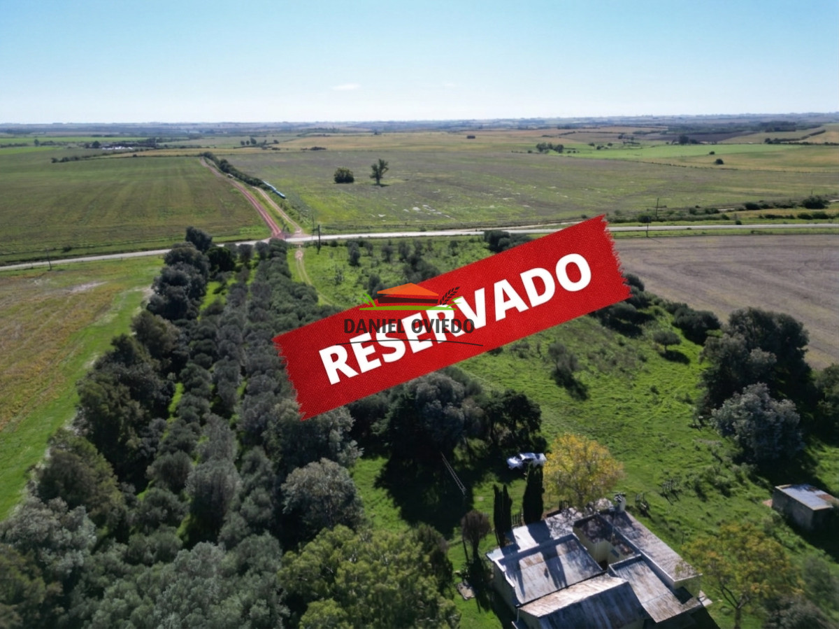 Chacra ID.382/Chacra-ideal-para-vivir-y-disfrutar-de-la-naturaleza-con-casa,-olivos-y-5-has-en-venta,-Carmelo. - Chacra ideal para vivir y disfrutar de la naturaleza con casa, olivos y 5 has en venta, Carmelo.