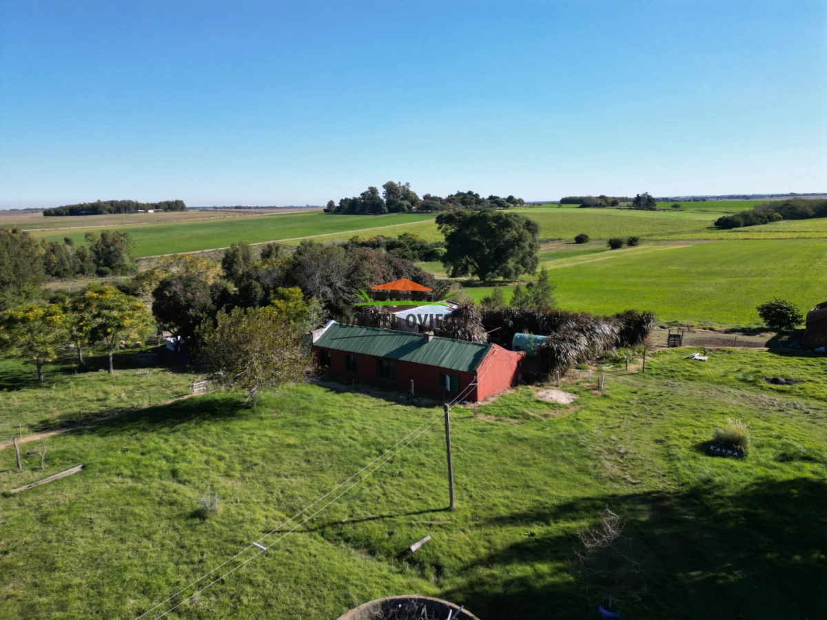 Chacra ID.385/Chacra-de-5-hect - Chacra de 5 hectáreas con casa y excelente ubicación cerca de Santa Regina