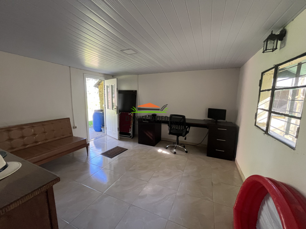 Chacra ID.382/Chacra-ideal-para-vivir-y-disfrutar-de-la-naturaleza-con-casa,-olivos-y-5-has-en-venta,-Carmelo. - Chacra ideal para vivir y disfrutar de la naturaleza con casa, olivos y 5 has en venta, Carmelo.