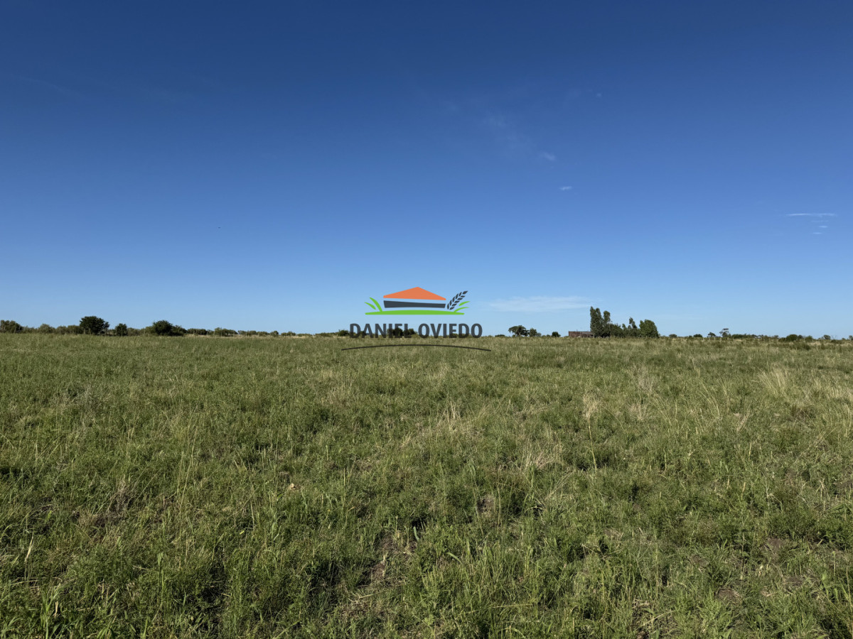 Chacra ID.344/Chacra-de-5,5-hect - Chacra de 5,5 hectáreas con agua en Cufré - Departamento de Colonia