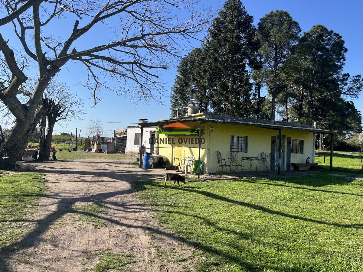 Chacra ID.138 - Chacra en venta en la entrada de Carmelo, pegada a importantes viveros de la zona.