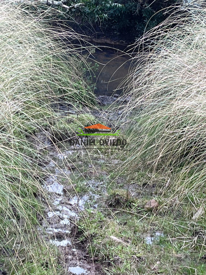 Chacra ID.311/Chacra-en-venta-con-costa-de-arroyo-en-sierras-de-Garz - Chacra en venta con costa de arroyo en sierras de Garzón.