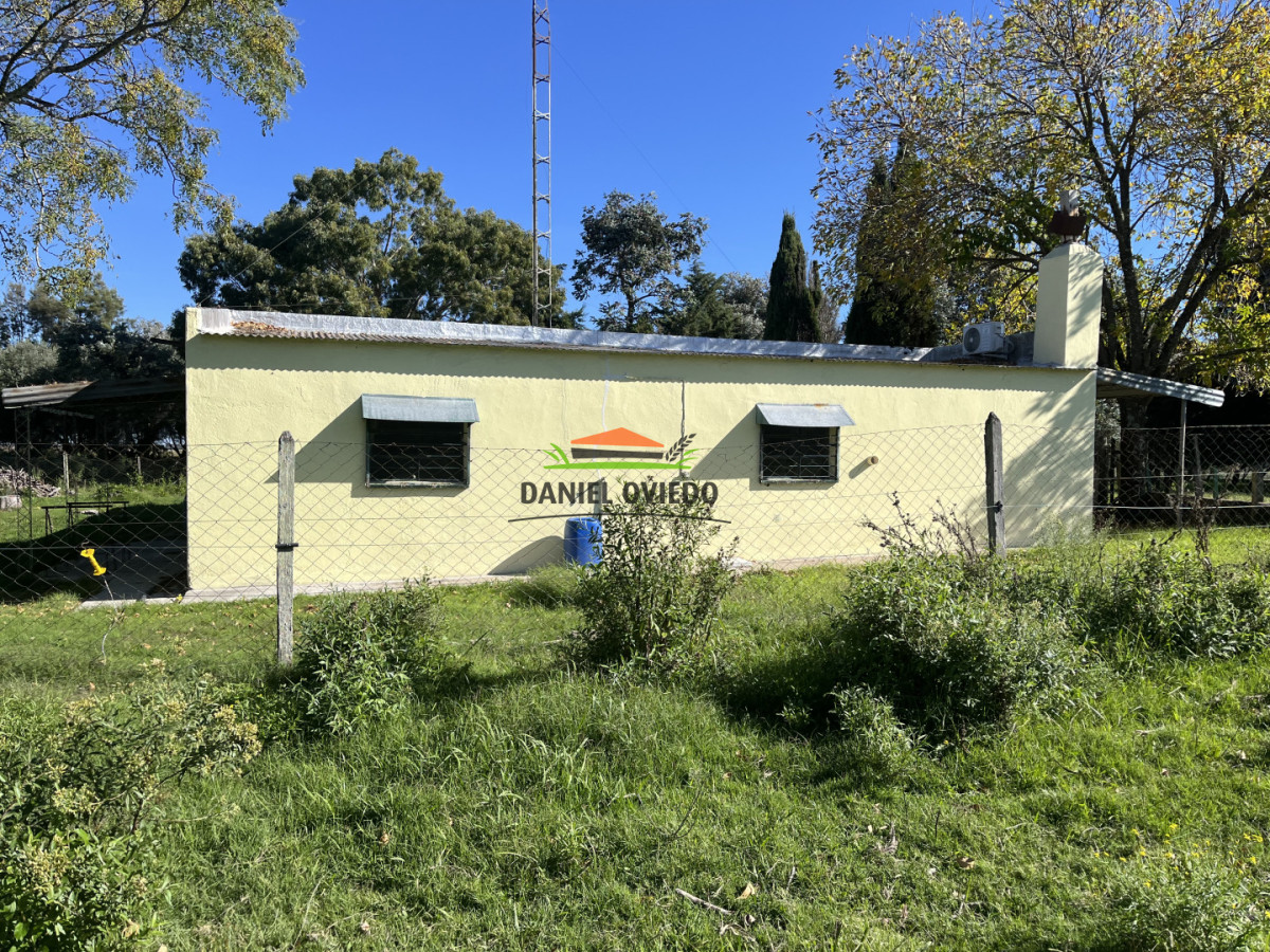 Chacra ID.382/Chacra-ideal-para-vivir-y-disfrutar-de-la-naturaleza-con-casa,-olivos-y-5-has-en-venta,-Carmelo. - Chacra ideal para vivir y disfrutar de la naturaleza con casa, olivos y 5 has en venta, Carmelo.