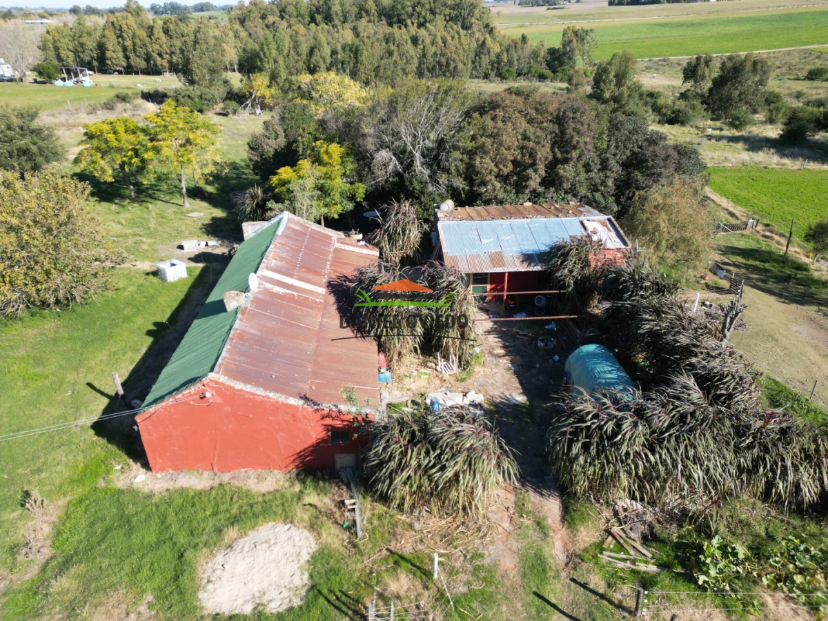 Chacra ID.385/Chacra-de-5-hect - Chacra de 5 hectáreas con casa y excelente ubicación cerca de Santa Regina