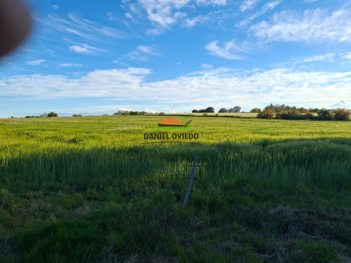 Chacra ID.423/🌿- - 🌿 ¡TU REFUGIO DE TRANQUILIDAD EN CARMELO! 🏡✨
