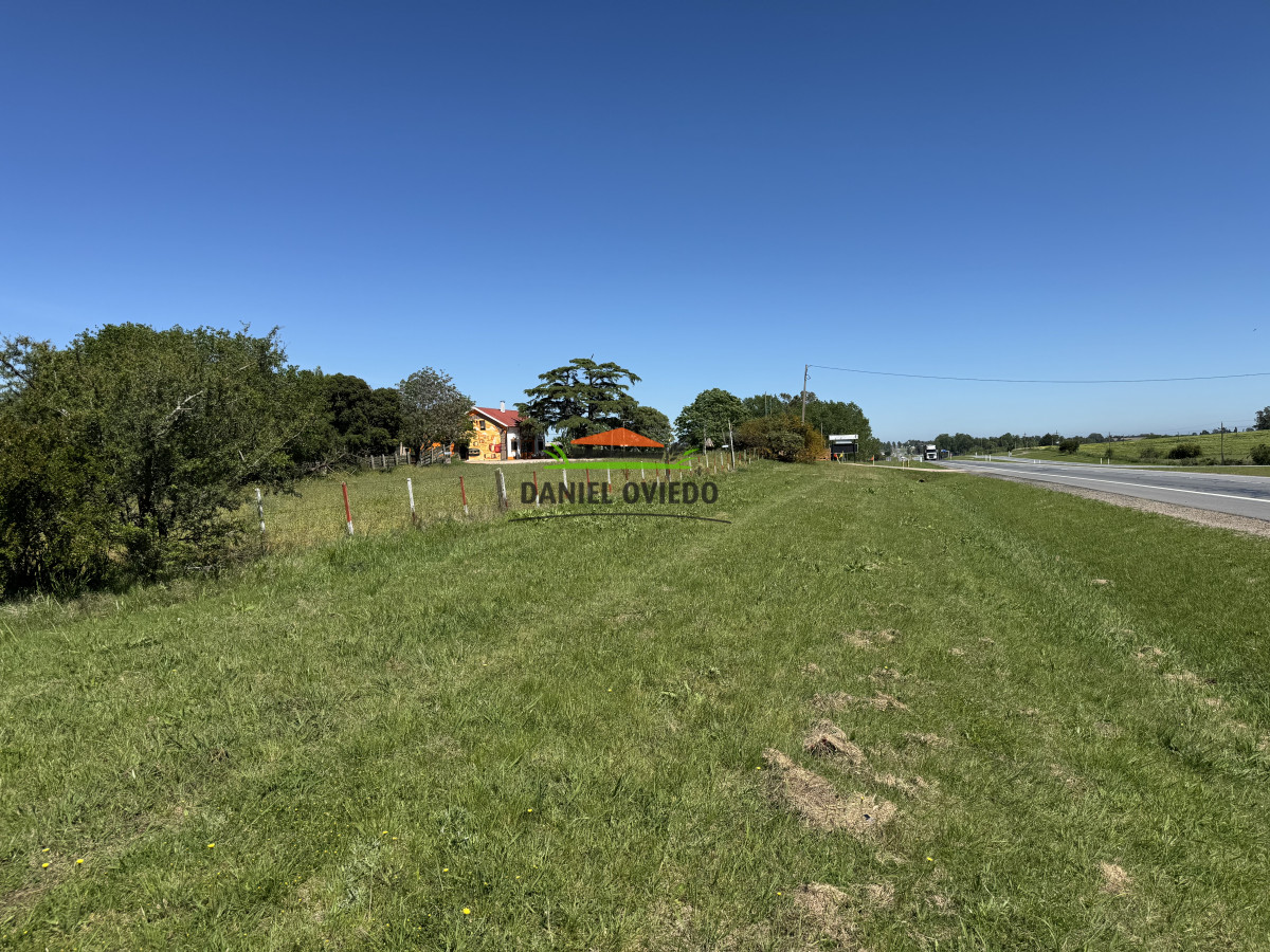 Chacra ID.283/Chacra-en-venta-sobre-Ruta-1-km-117---Inmejorable-ubicación - Chacra en venta sobre Ruta 1 km 117 - Inmejorable ubicación