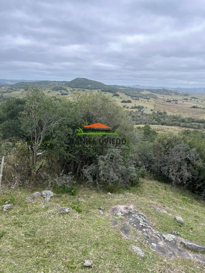 Chacra ID.310/Gran-oportunidad-chacra-en-venta-en-sierras-de-Garz - Gran oportunidad chacra en venta en sierras de Garzón.