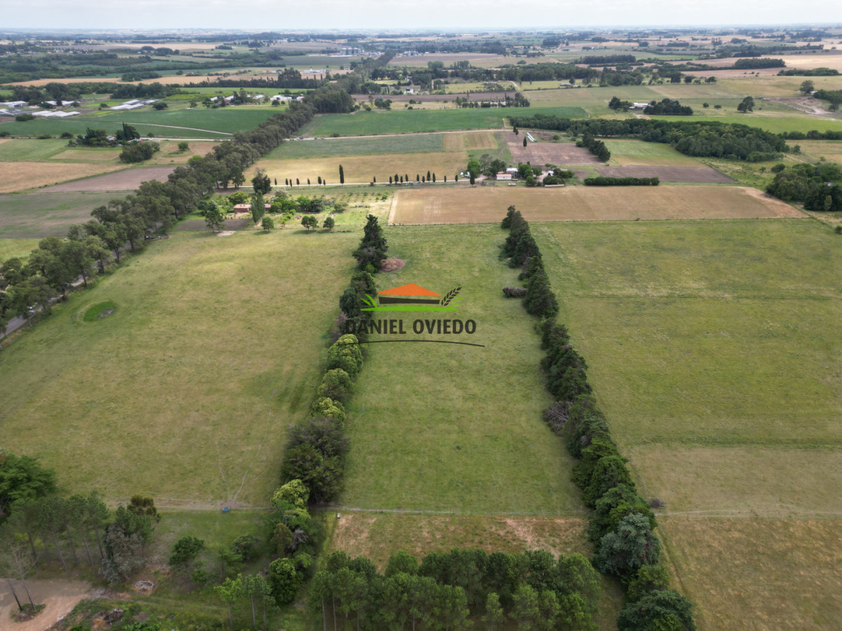 Chacra ID.315/Chacra-de-8,5-has-sobre-Ruta-51---Camino-a-Playa-Fomento,-Excelente-Punto - Chacra de 8,5 has sobre Ruta 51 - Camino a Playa Fomento, Excelente Punto