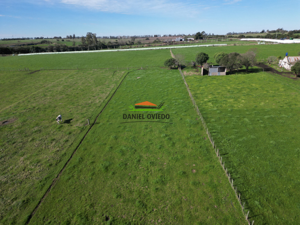 Chacra ID.403/Chacra-de-5,2-hect - Chacra de 5,2 hectáreas en venta próxima a Rosario - Colonia