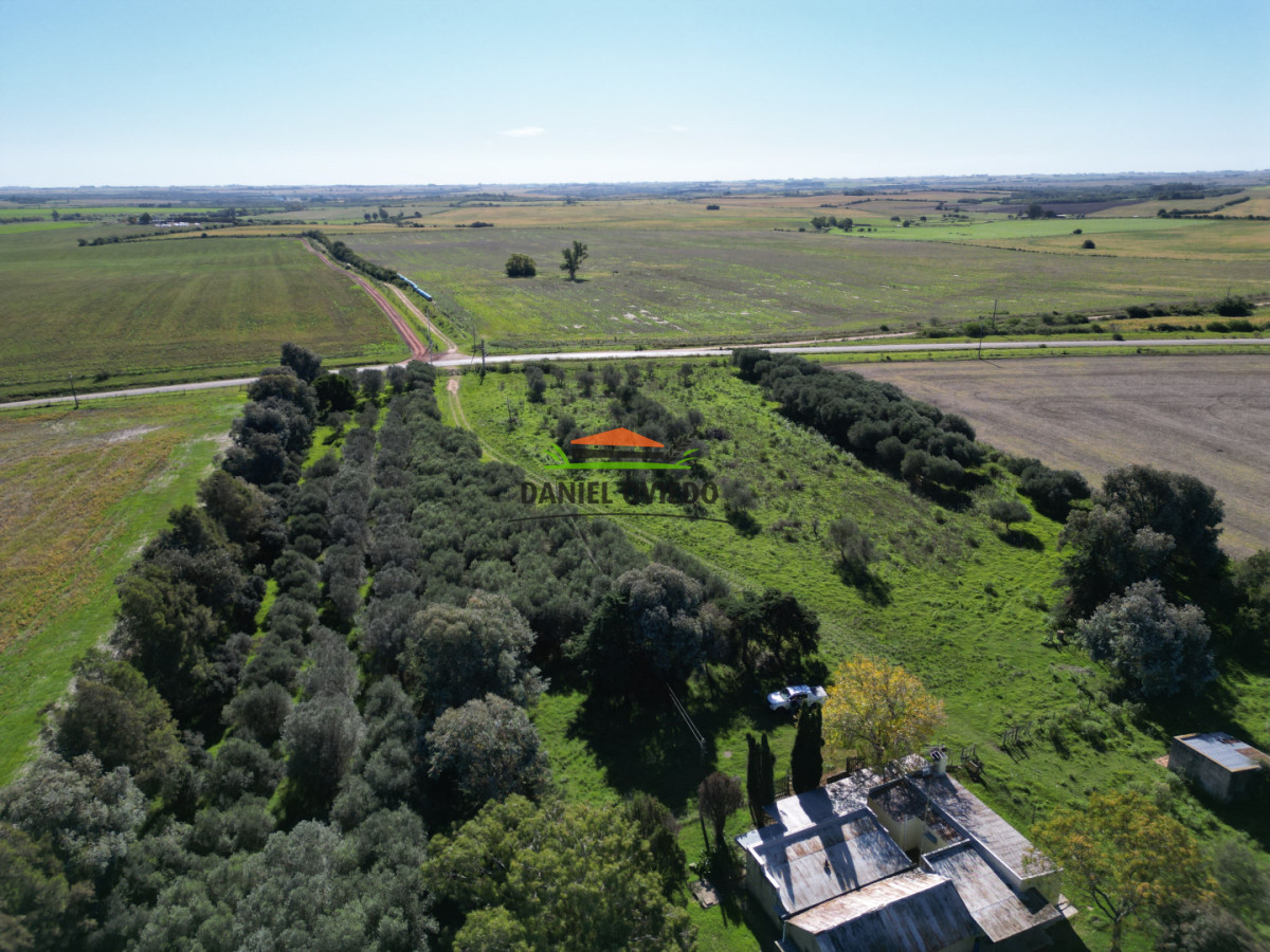 Chacra ID.382/Chacra-ideal-para-vivir-y-disfrutar-de-la-naturaleza-con-casa,-olivos-y-5-has-en-venta,-Carmelo. - Chacra ideal para vivir y disfrutar de la naturaleza con casa, olivos y 5 has en venta, Carmelo.