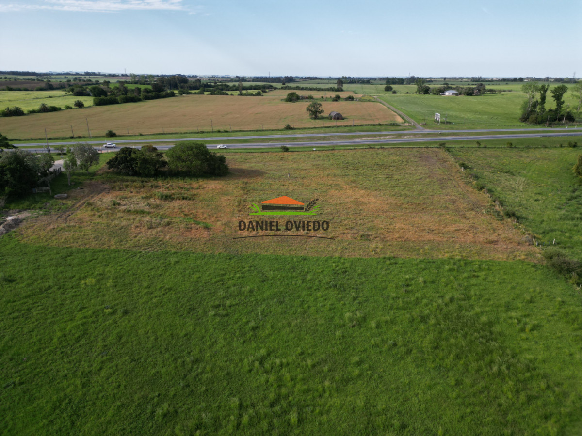 Chacra ID.283/Chacra-en-venta-sobre-Ruta-1-km-117---Inmejorable-ubicación - Chacra en venta sobre Ruta 1 km 117 - Inmejorable ubicación