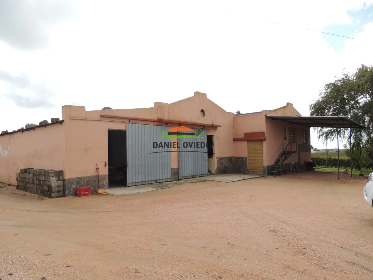 Chacra ID.425/Venta--de-Bodega,-Vi - Venta  de Bodega, Viñedo 11 Has y casas, en Toledo Chico.