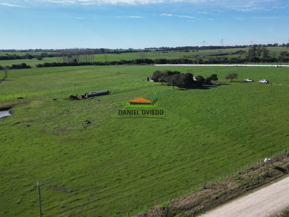 Chacra ID.403/Chacra-de-5,2-hect - Chacra de 5,2 hectáreas en venta próxima a Rosario - Colonia
