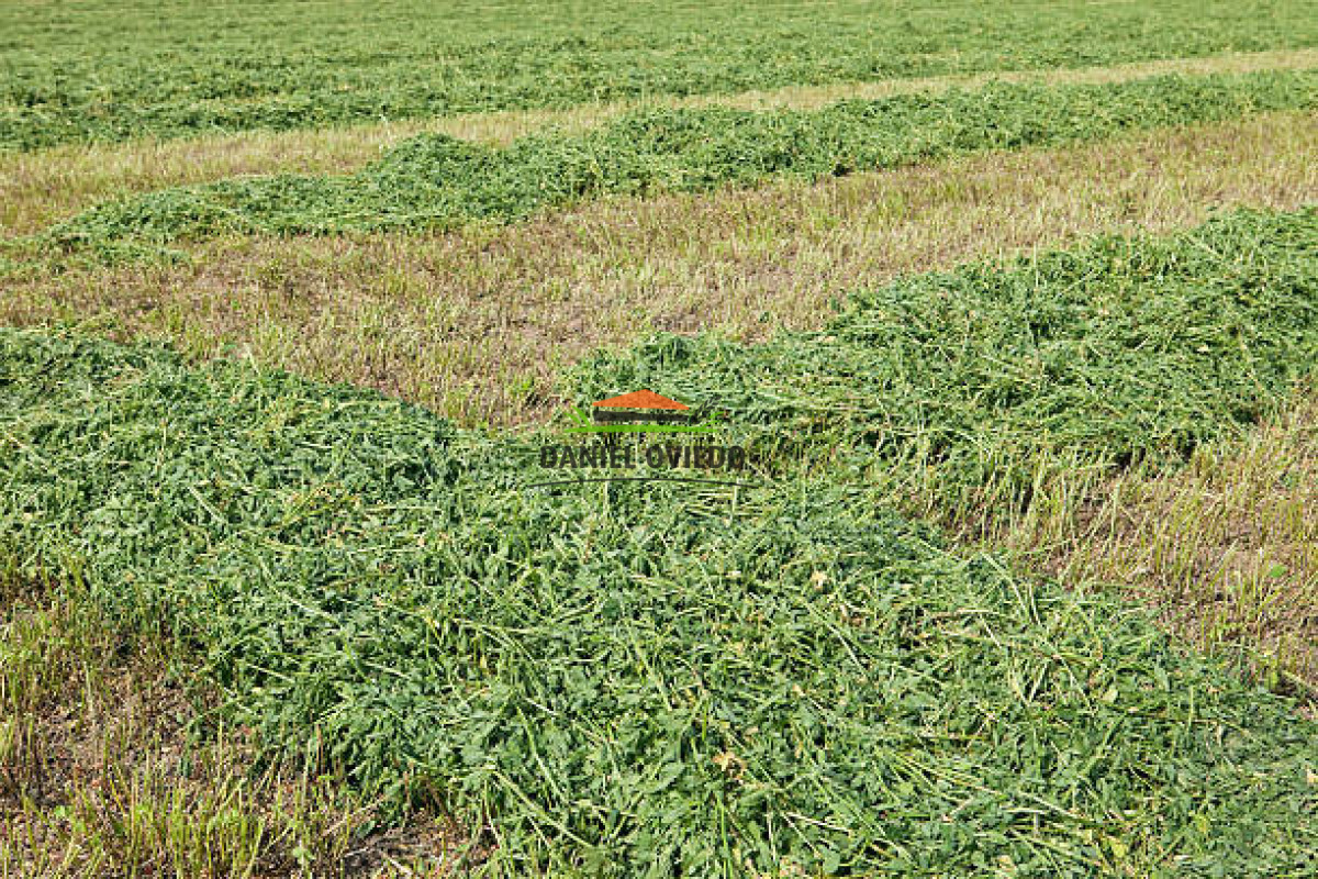 Chacra ID.353/Gran-oportunidad-chacra-en-venta-pr - Gran oportunidad chacra en venta próxima Pan de Azucar y ruta 9.