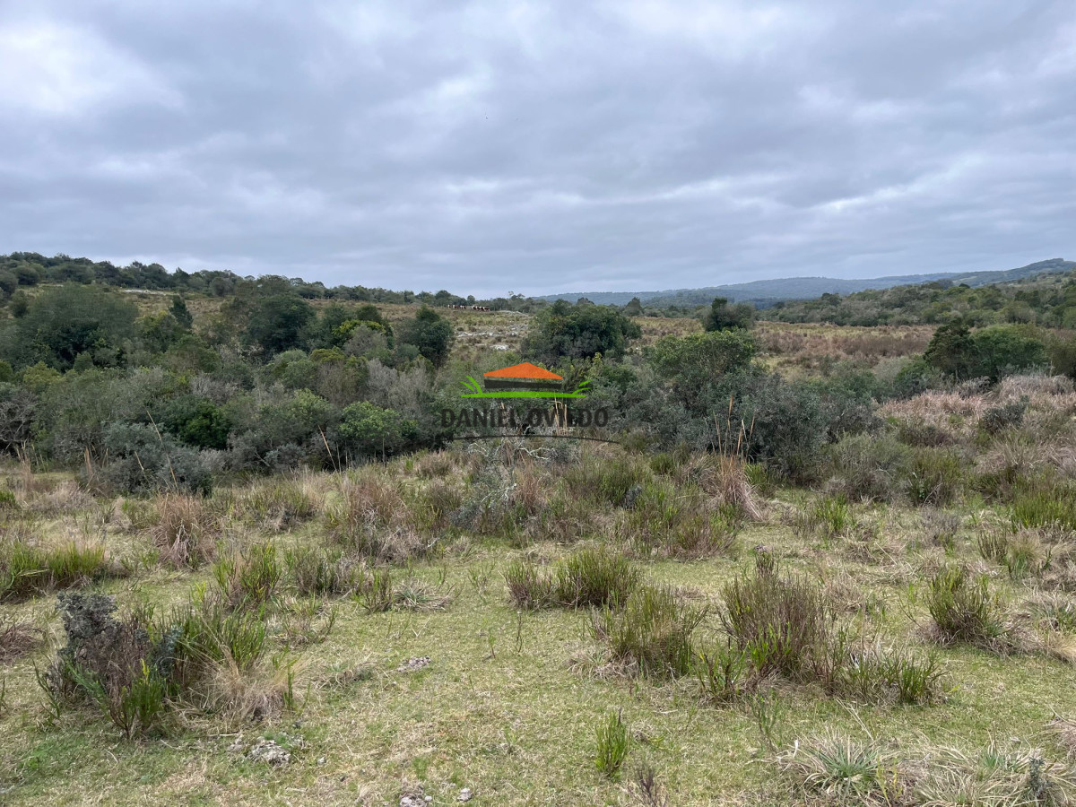 Chacra ID.311/Chacra-en-venta-con-costa-de-arroyo-en-sierras-de-Garz - Chacra en venta con costa de arroyo en sierras de Garzón.