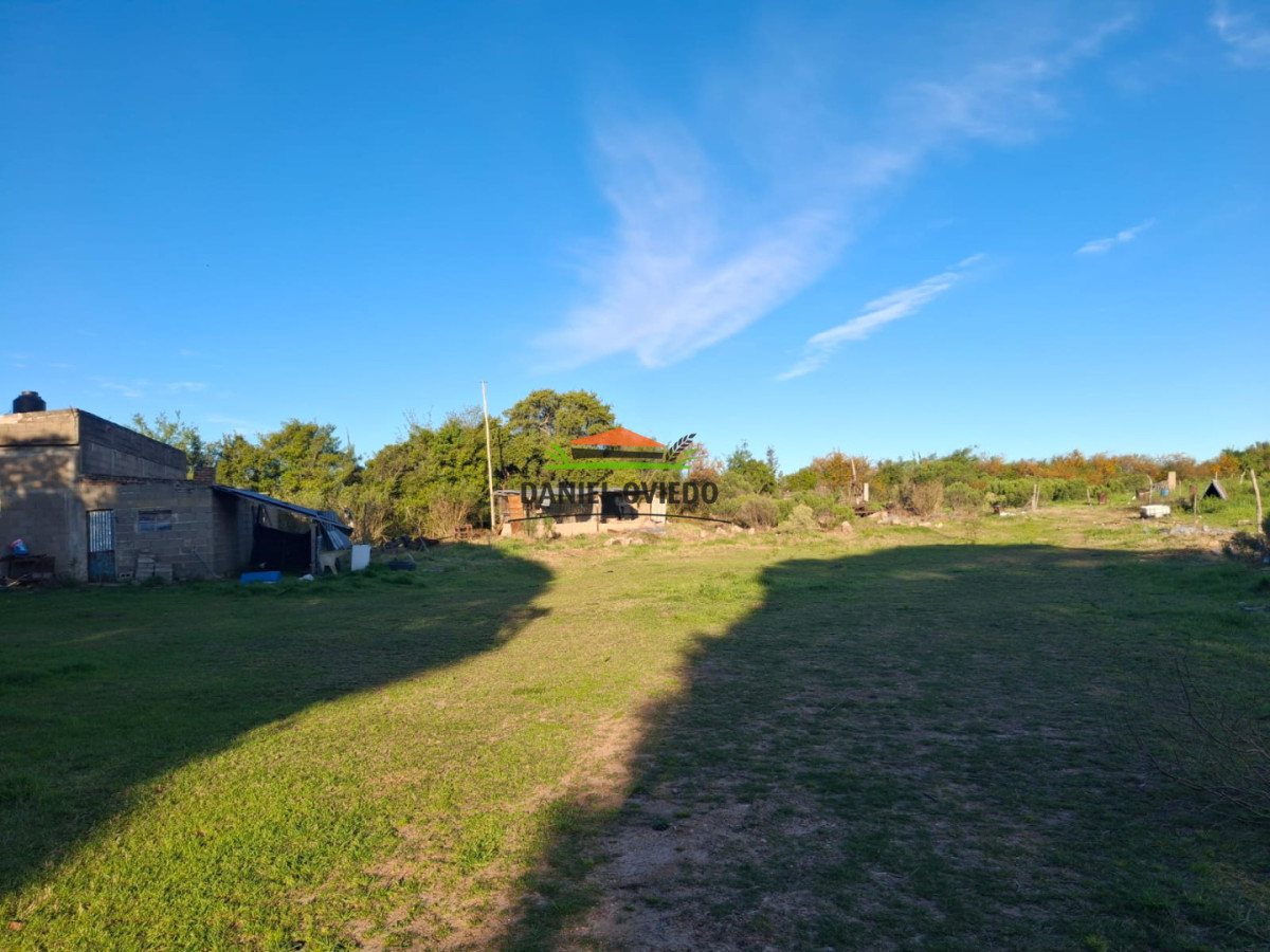 Chacra ID.423/🌿- - 🌿 ¡TU REFUGIO DE TRANQUILIDAD EN CARMELO! 🏡✨