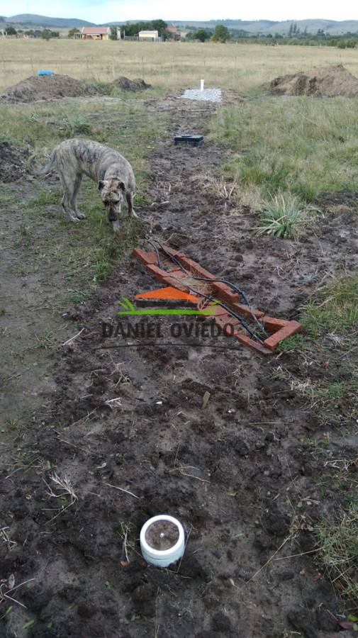 Chacra ID.349/Hermosa-chacra-en-venta-con-Casa,-Domo-y-galp - Hermosa chacra en venta con Casa, Domo y galpón en ruta 12.