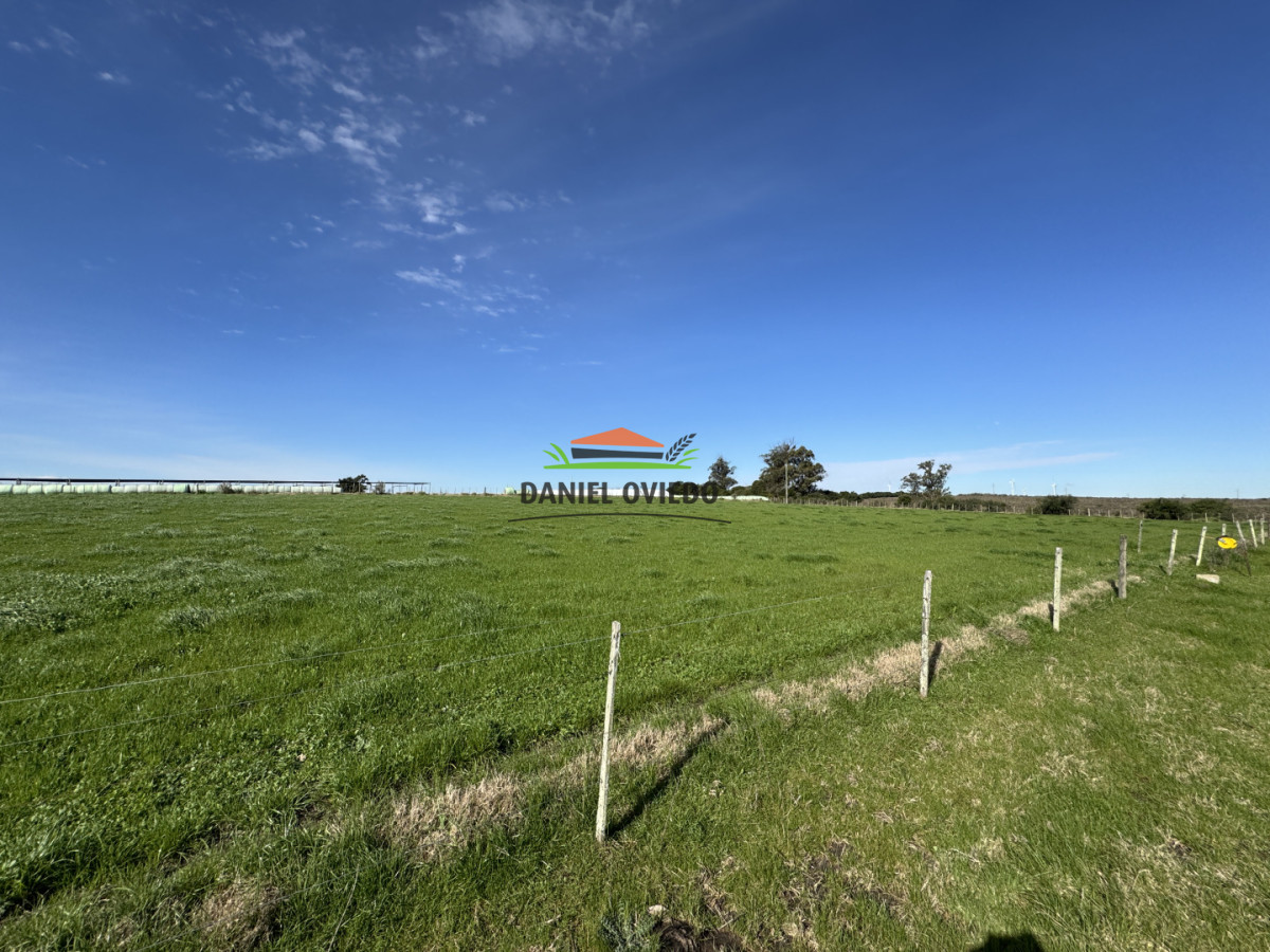 Chacra ID.403/Chacra-de-5,2-hect - Chacra de 5,2 hectáreas en venta próxima a Rosario - Colonia