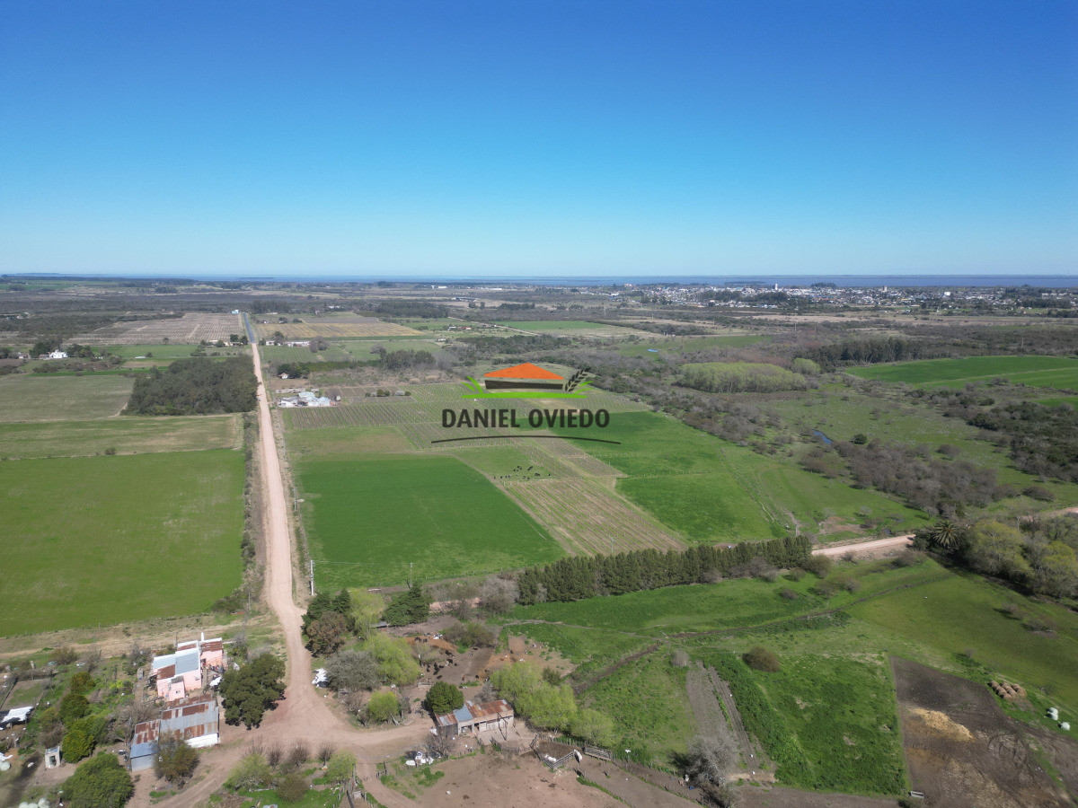 Chacra ID.255/Excelente-oportunidad-antigua-Bodega-y-viñedos-en-venta-en-Carmelo. - Excelente oportunidad antigua Bodega y viñedos en venta en Carmelo.