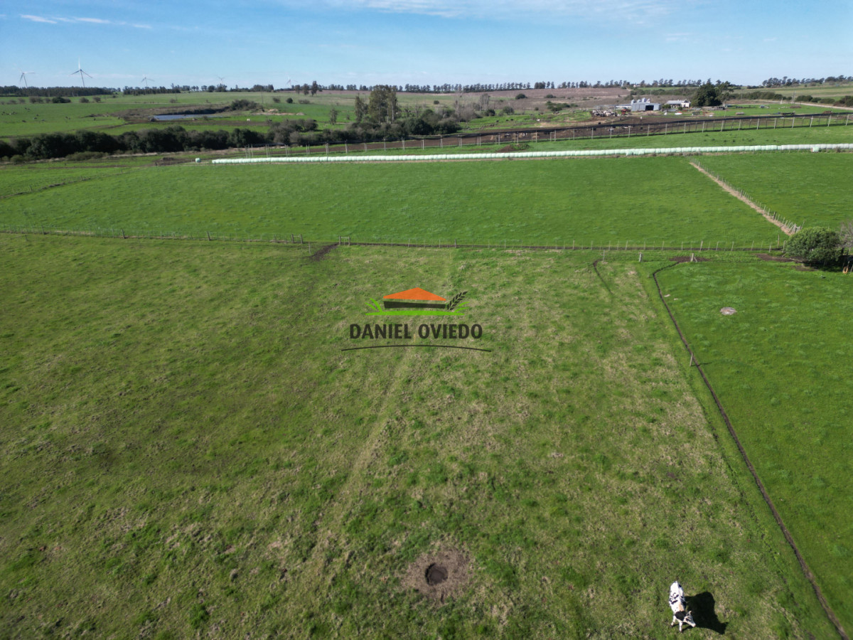Chacra ID.403/Chacra-de-5,2-hect - Chacra de 5,2 hectáreas en venta próxima a Rosario - Colonia