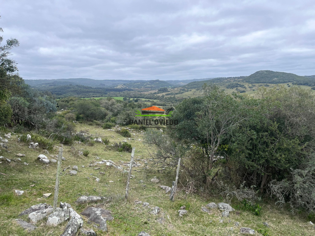 Chacra ID.310/Gran-oportunidad-chacra-en-venta-en-sierras-de-Garz - Gran oportunidad chacra en venta en sierras de Garzón.