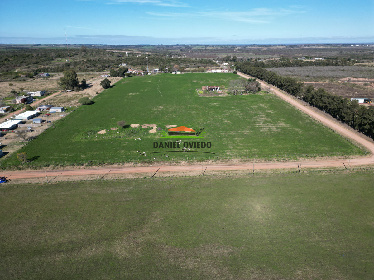 Chacra ID.240/Excelente-chacra-en-venta-con-3-casas-ubicada-a-5-km-de-Carmelo. - Excelente chacra en venta con 3 casas ubicada a 5 km de Carmelo.
