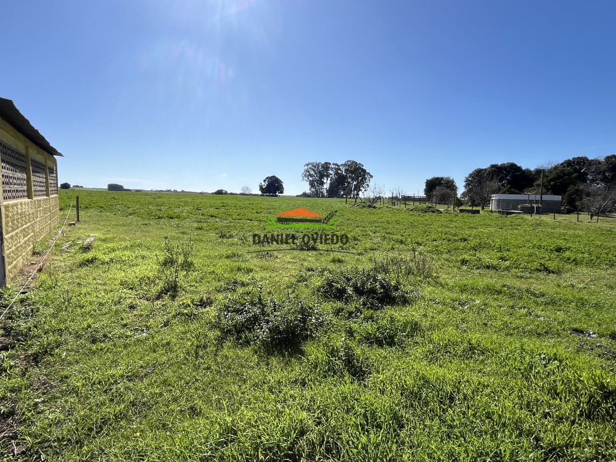 Chacra ID.240/Excelente-chacra-en-venta-con-3-casas-ubicada-a-5-km-de-Carmelo. - Excelente chacra en venta con 3 casas ubicada a 5 km de Carmelo.
