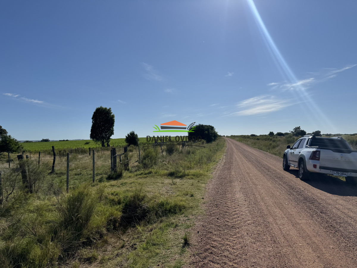 Chacra ID.344/Chacra-de-5,5-hect - Chacra de 5,5 hectáreas con agua en Cufré - Departamento de Colonia