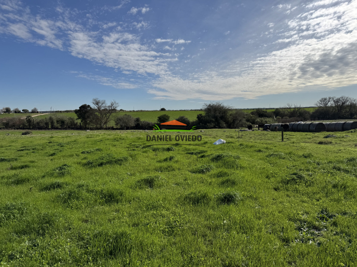 Chacra ID.403/Chacra-de-5,2-hect - Chacra de 5,2 hectáreas en venta próxima a Rosario - Colonia
