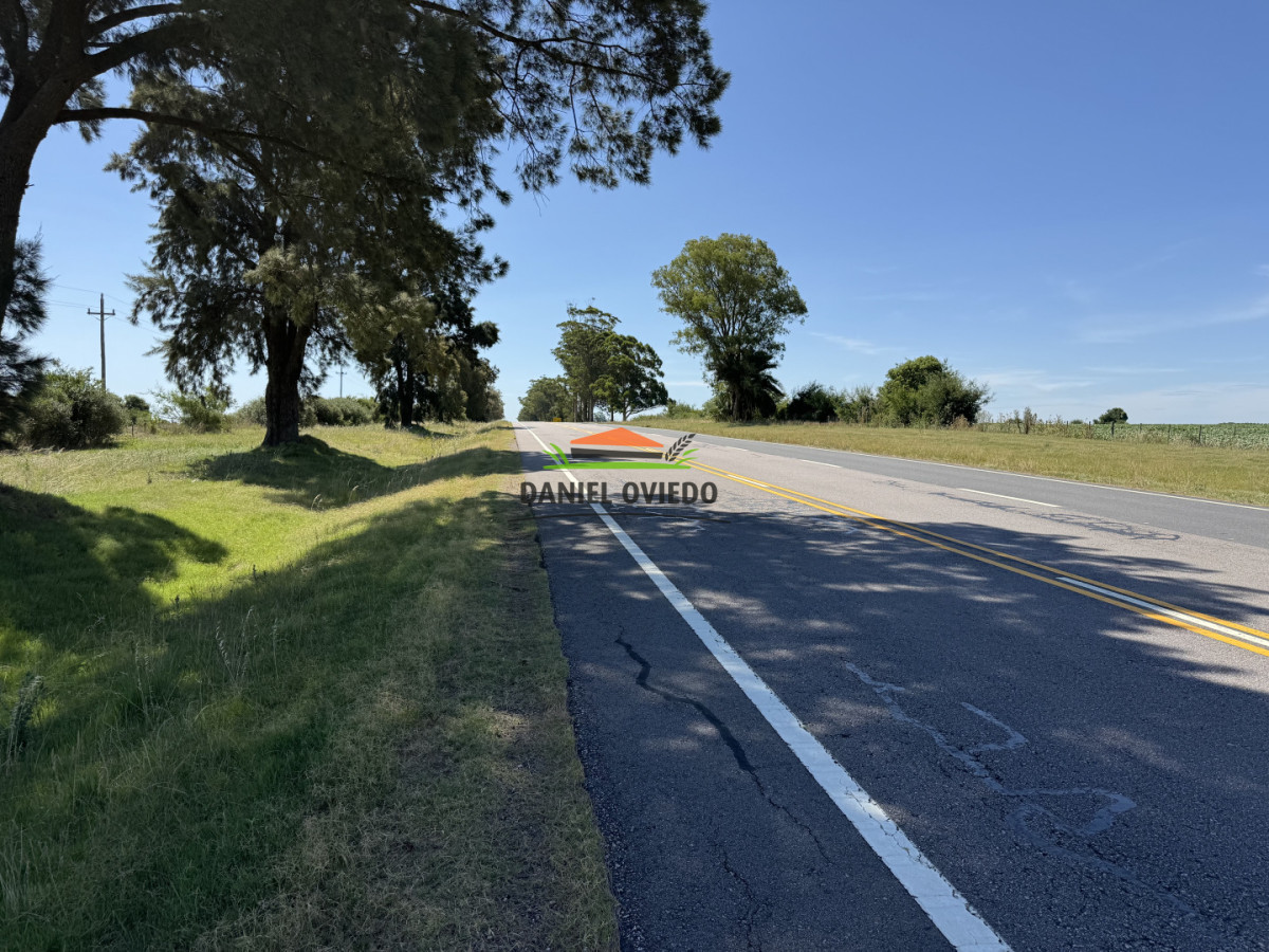 Chacra ID.337/Chacra-de-8-h - Chacra de 8 hás sobre Ruta 23 - San José