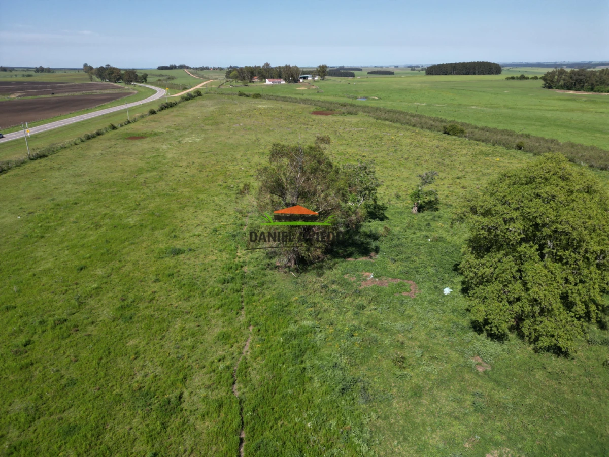 Chacra ID.282/Inmejorable-punto-sobre-Ruta-23---Chacra-lista-para-desarrollar - Inmejorable punto sobre Ruta 23 - Chacra lista para desarrollar