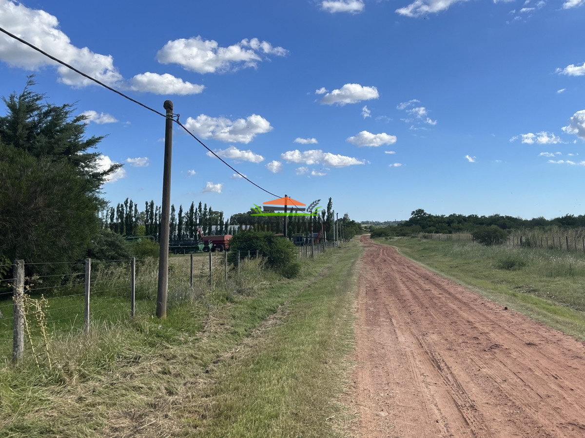 Chacra ID.58 - Chacra en venta a 2 Km de Carmelo, increíble ubicación.