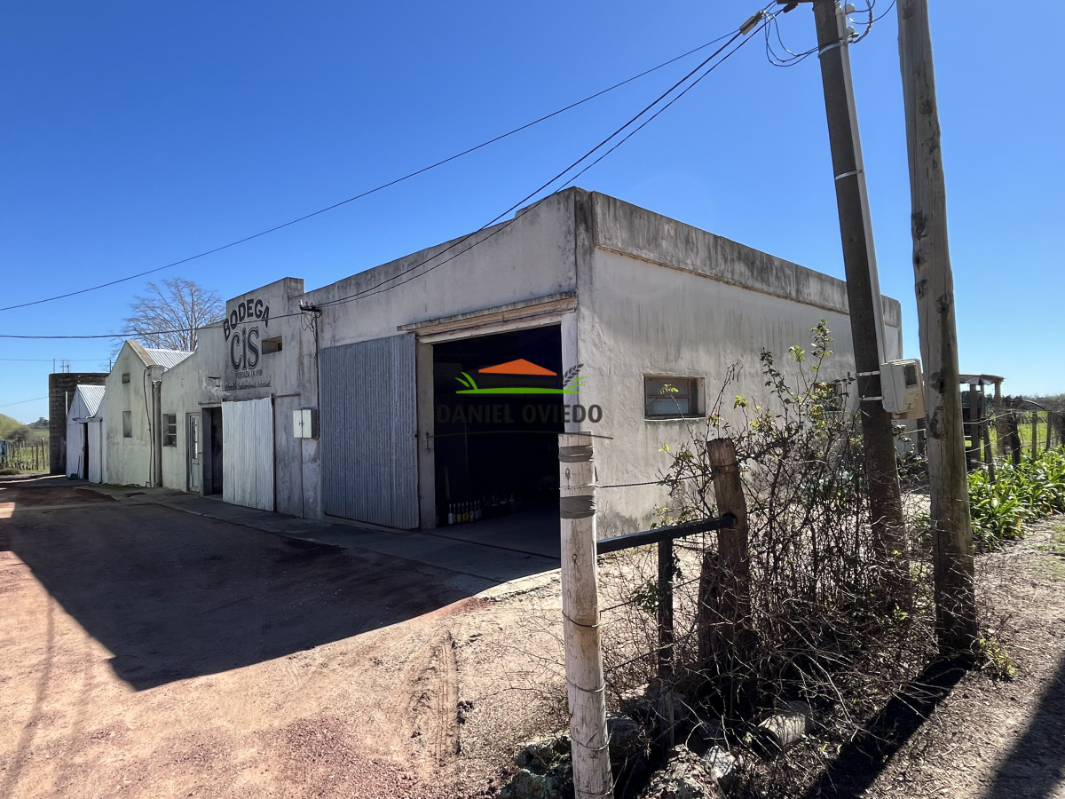Chacra ID.255/Excelente-oportunidad-antigua-Bodega-y-viñedos-en-venta-en-Carmelo. - Excelente oportunidad antigua Bodega y viñedos en venta en Carmelo.