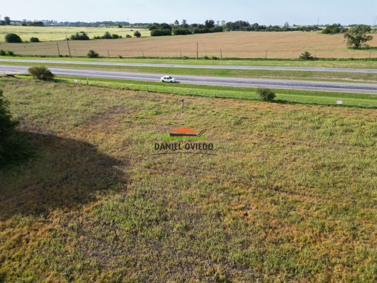 Chacra ID.283/Chacra-en-venta-sobre-Ruta-1-km-117---Inmejorable-ubicación - Chacra en venta sobre Ruta 1 km 117 - Inmejorable ubicación