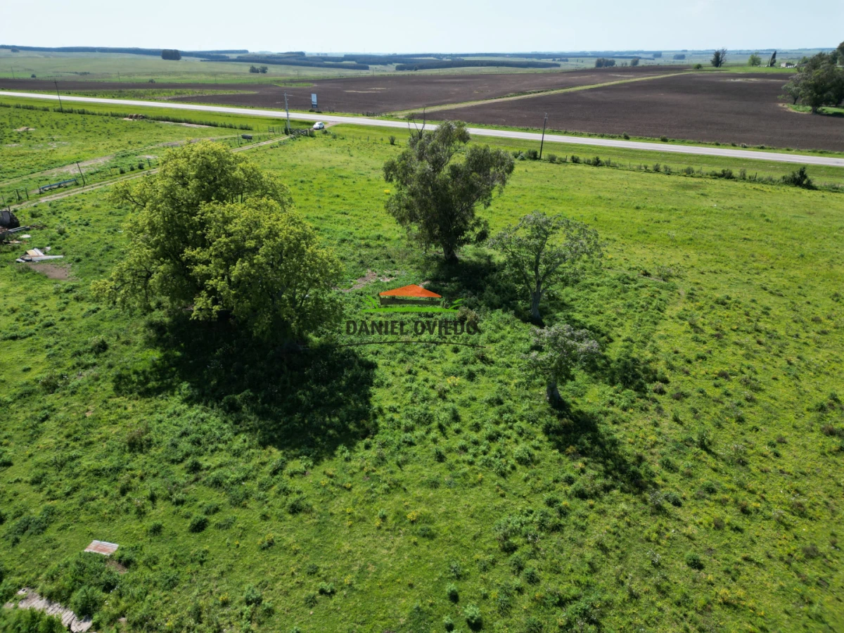 Chacra ID.282/Inmejorable-punto-sobre-Ruta-23---Chacra-lista-para-desarrollar - Inmejorable punto sobre Ruta 23 - Chacra lista para desarrollar