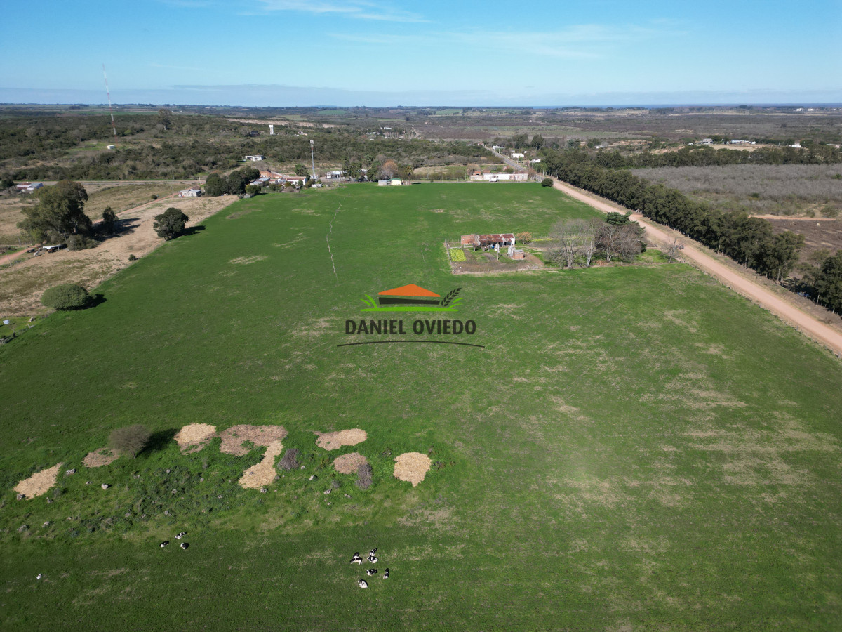 Chacra ID.240/Excelente-chacra-en-venta-con-3-casas-ubicada-a-5-km-de-Carmelo. - Excelente chacra en venta con 3 casas ubicada a 5 km de Carmelo.