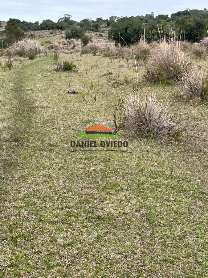 Chacra ID.311/Chacra-en-venta-con-costa-de-arroyo-en-sierras-de-Garz - Chacra en venta con costa de arroyo en sierras de Garzón.