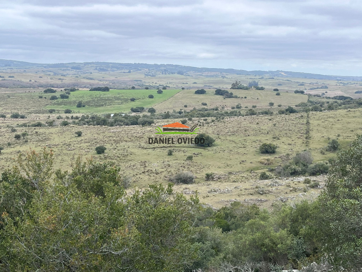 Chacra ID.310/Gran-oportunidad-chacra-en-venta-en-sierras-de-Garz - Gran oportunidad chacra en venta en sierras de Garzón.