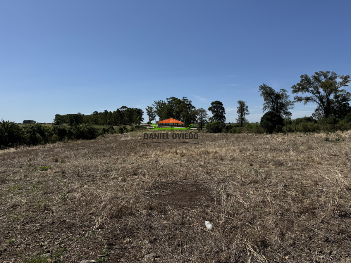 Chacra ID.337/Chacra-de-8-h - Chacra de 8 hás sobre Ruta 23 - San José