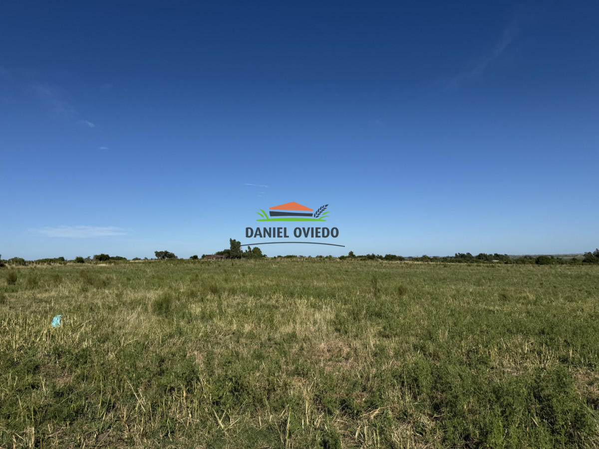 Chacra ID.344/Chacra-de-5,5-hect - Chacra de 5,5 hectáreas con agua en Cufré - Departamento de Colonia